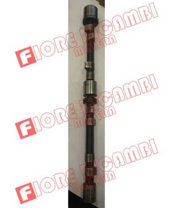 559404 - ALBERO